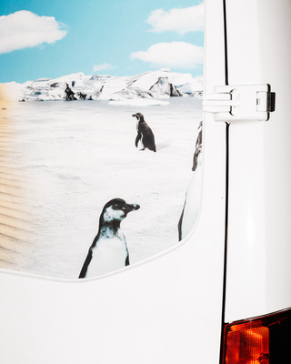 Zum ersten Mal sehen wir Pinguine. Sie bewegen sich in kleinen Schritten über den Kalk, der so weiß leuchtet wie Schnee. Wir hören davon, wie flink sie unter Wasser sind, aber das können wir nicht sehen.